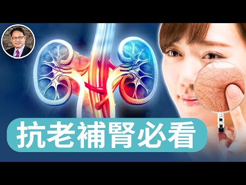 三種抗老明星食物，滋養腎精，延緩衰老｜四維健康