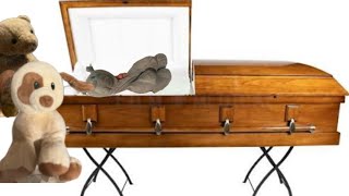 SBB Movie: Doggy awakes from his coma