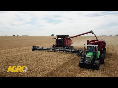 Agro Huanguelén: 40.000 ha de producción con máquinas de última generación (#1115 2024-12-21)