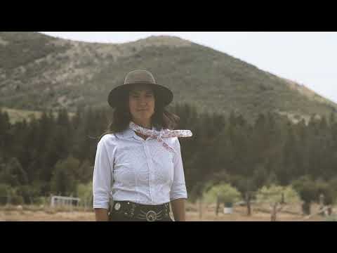 Sele Vera y Los Pampas - Si Pudiera