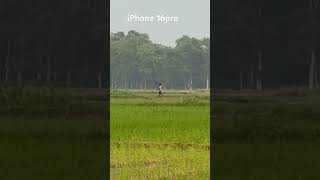 iPhone 16pro 25x