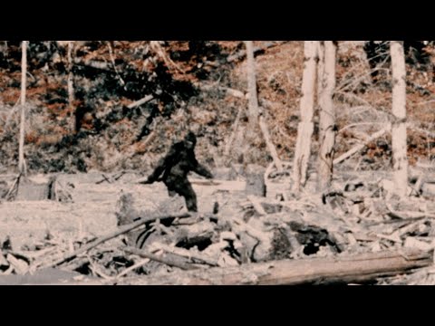 YOU'RE LOOKING AT A REAL SASQUATCH | Patterson Footage Details