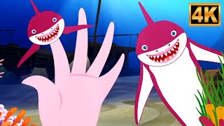 Shark Finger Family Fun, Baby Shark and Friends, Nursery Rhymes for Kids
