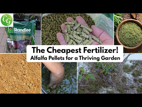 Cheapest Natural Fertilizer for a Thriving Garden | Alfalfa Pellets Explained