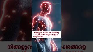 🔴 Time is Running Out: Advanced CAR T-Cell Therapy for Blood Cancer | KIMSHEALTH