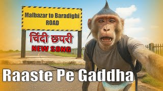 RAASTE PE GADDHA - CHINDI CHAPRI | OFFICIAL MUSIC VIDEO - 2025