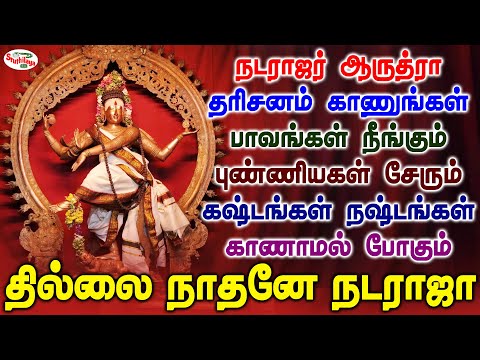 ஆருத்ரா தரிசனம் அபிஷேகம் | தில்லை நாதனே | Thillai Nadhanae | திருவருள் புரிவாய் நடராஜா | Sruthilaya