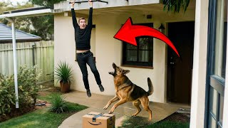 Dumbest Thieves Who Messed With The Wrong Pets..!!!