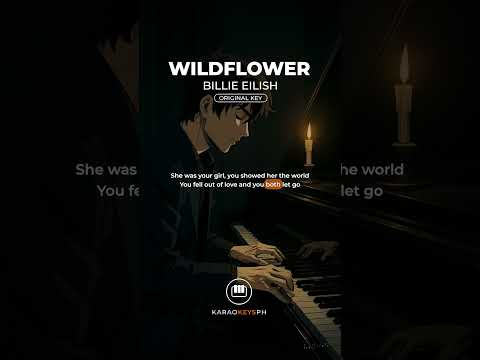 Wildflower – Billie Eilish (Original Key | Verse 1)