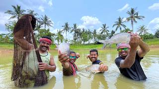 পুকুর থেকে জালে করে মাছ ধরে কচু দিয়ে জমজমাট রান্না করে খাওয়া । Village Cooking Vlog