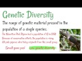 Understanding Biodiversity