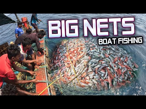 Amazing Automatic Longline Fishing Net Catch Giant Fish @KadalTv