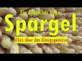 Spargel in Deutschland