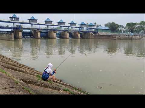 Dulur Mancing 88 LIVE !! #fishing