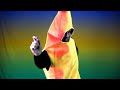 Greg's Banana Transformation Adventure