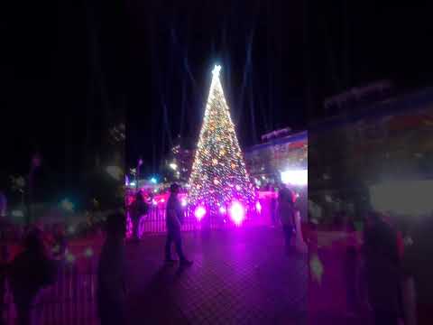 DESPÚES DEL BULLYNG A MELIPILLA AHORA PRESENTA SU NUEVO ÁRBOL DE NAVIDAD