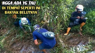 ENAKNYA MANCING BELUT DI SINI TEMPAT  SEPERTI INIPUN BANYAK BELUT BESARNYA