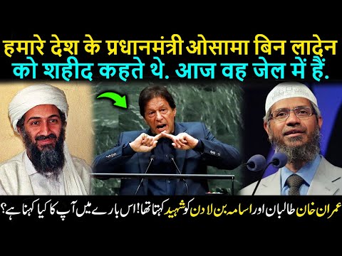 What is Your Opinion About Osama Bin Laden? Was He a Radical? Angry Professor vs Dr Zakir Naik 2024