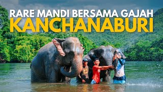 Rare mandi bersama gajah Kanchanaburi | Ep5 Kanchanaburi Thailand