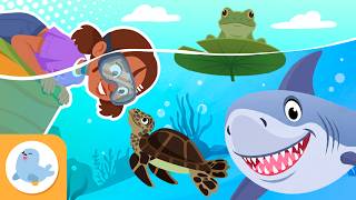 HÁBITATS ACUÁTICOS y sus ANIMALES para niños 🌊🐋 Ríos, lagos y océanos