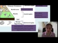 Ecological Concepts and Interactions