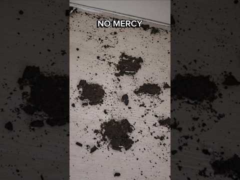 NO MERCY, Instant karma๐๐ฅ #funny #comedy #memes #sitcom #oreo #instantkarma