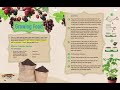 Environmental Awareness and Sustainability Concepts