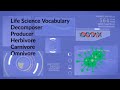 Organisms and Their Energy Sources