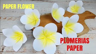 Plumerias Paper Flower Tutorial_Paper Flower Titorial_Diy Paper Flower