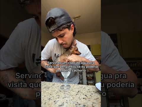 Meu cachorro que é o dono da casa, não viaja
