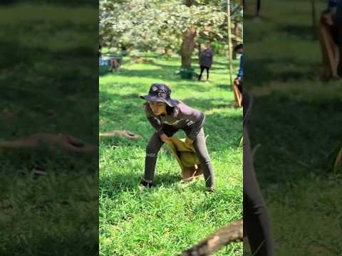 Dangerous fruit catching