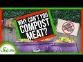 Composting Techniques and Challenges