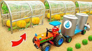 DIY Construction Science Project - Build a mini Greenhouse Pumpkin Farm with water tanks