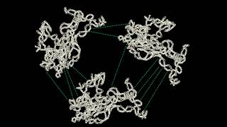 Tatjana Trcek: Characterizing the intermolecular interactions that underlie RNA condensation in vivo