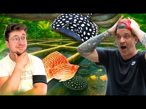 ON PART ACHETER DES POISSONS D’AQUARIUM DANS LES FERMES GÉANTES  ! ( avec @GabAqua)