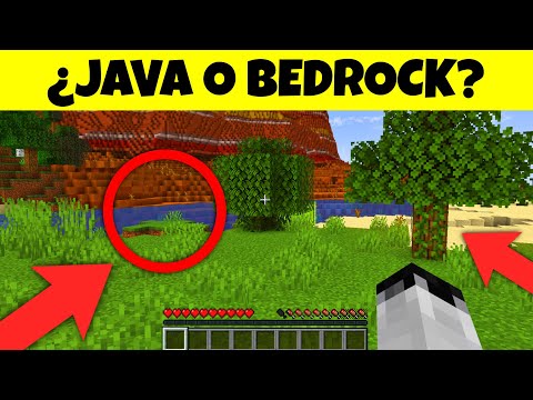 ¿Puedes adivinar si es Java o Bedrock en 10 segundos?