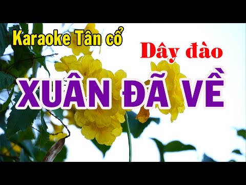 Karaoke Tân cổ XUÂN ĐÃ VỀ – DÂY ĐÀO