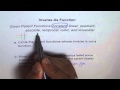 Characteristics and Inverses of Functions