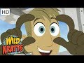 Exploring Unique Animal Features