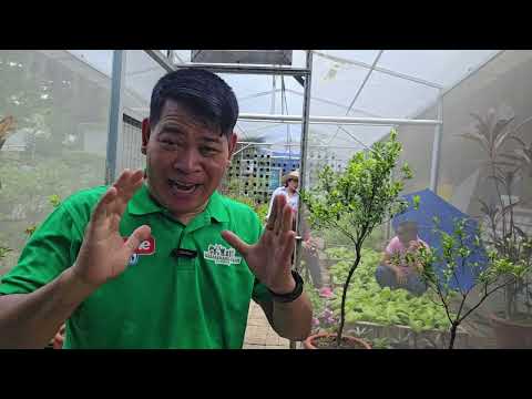 FOOD SECURITY: BEL-AIR COMMUNITY FARM, URBAN FARMER PH #gardening #farmer