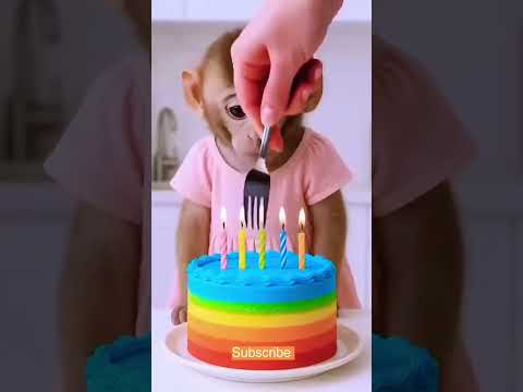 She didn't want to share his Cake 🎂😱🤣😜#shorts#funny#viral#comedy#trending