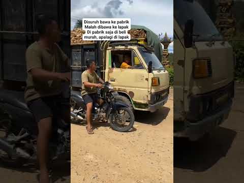 JUAL SINGKONG KELAPAK POTONGAN BISA 50%