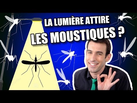 IDÉE REÇUE #35 : La lumière attire les moustiques ?