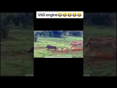 Kasongo Mwenyewe #subscribemychannel
