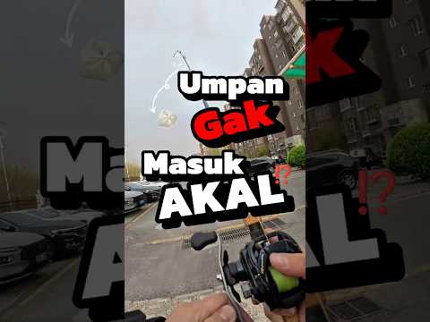Cinta Mancing! Cara Apapun Dilakuin😅
