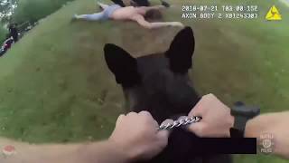 Polícia Americana VS Criminosos #50