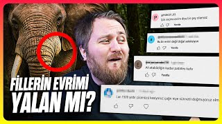 Filler, Sadece 80 Yılda Evrimleşebilir mi?