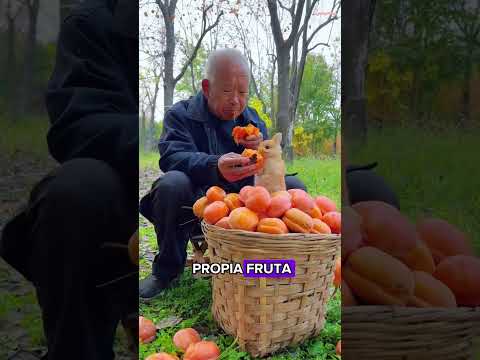 This rabbit was abandoned by its mother#animals #Friendship #Us