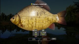 Русская рыбалка 4, Комариное