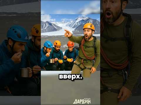 Горное дерево
